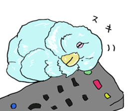 true  parrots sticker #9776528