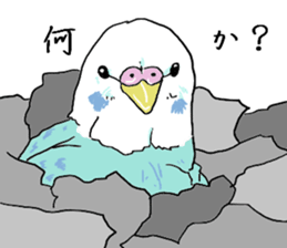 true  parrots sticker #9776530