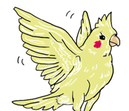 true  parrots sticker #9776531