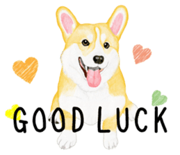 Good luck deals corgi