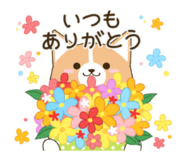 consideration Welsh Corgi Greeting sticker #9778595