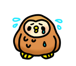 Fluffy owls sticker #9779501