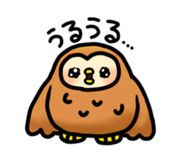 Fluffy owls sticker #9779523