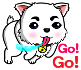 There are only little white dog sticker #9779857