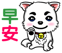 There are only little white dog sticker #9779858