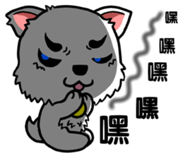 There are only little white dog sticker #9779862