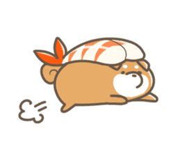 Shiba sushi sticker #9780377