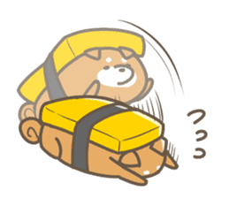 Shiba sushi sticker #9780389