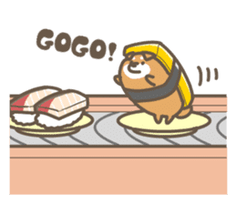 Shiba sushi sticker #9780390