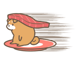 Shiba sushi sticker #9780391