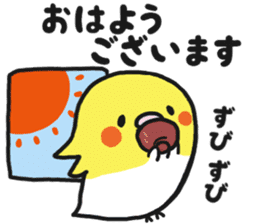 Cockateel club sticker #9781736