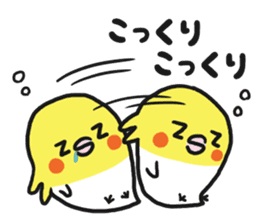 Cockateel club sticker #9781738