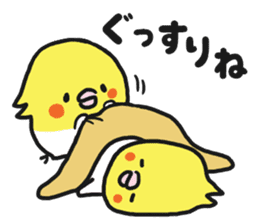 Cockateel club sticker #9781739