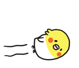 Cockateel club sticker #9781740