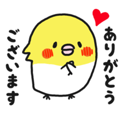 Cockateel club sticker #9781742