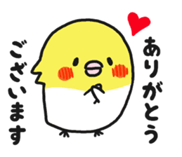 Cockateel club sticker #9781742