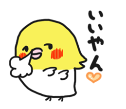 Cockateel club sticker #9781744