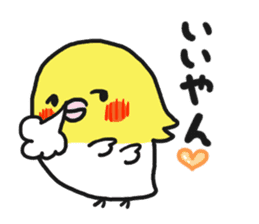 Cockateel club sticker #9781744