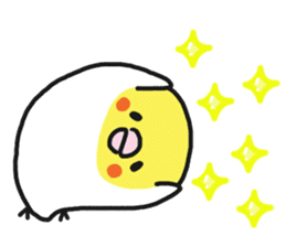 Cockateel club sticker #9781745