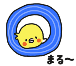 Cockateel club sticker #9781748