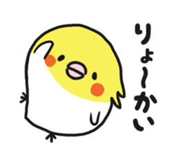 Cockateel club sticker #9781750