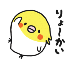 Cockateel club sticker #9781750