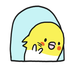 Cockateel club sticker #9781751