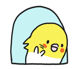 Cockateel club sticker #9781751