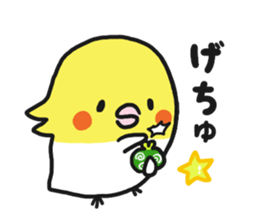 Cockateel club sticker #9781753