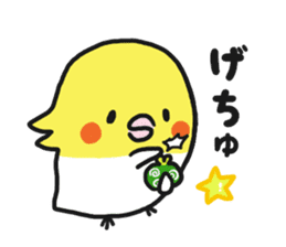 Cockateel club sticker #9781753