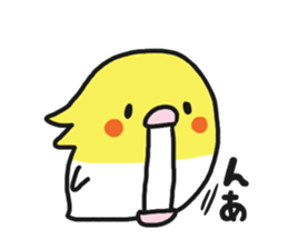 Cockateel club sticker #9781756