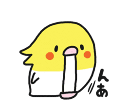 Cockateel club sticker #9781756