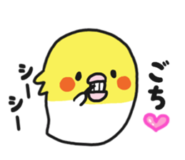 Cockateel club sticker #9781757