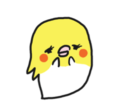 Cockateel club sticker #9781759