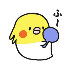 Cockateel club sticker #9781760