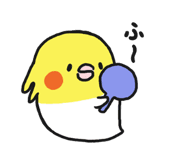 Cockateel club sticker #9781760