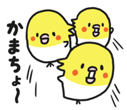 Cockateel club sticker #9781762