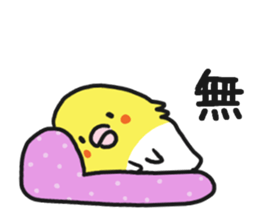 Cockateel club sticker #9781763