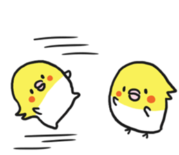 Cockateel club sticker #9781766