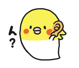 Cockateel club sticker #9781768