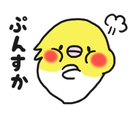 Cockateel club sticker #9781769