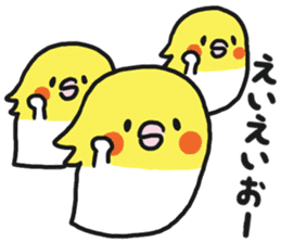 Cockateel club sticker #9781771