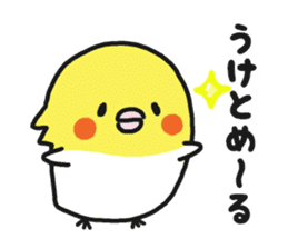 Cockateel club sticker #9781773