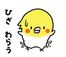 Cockateel club sticker #9781774