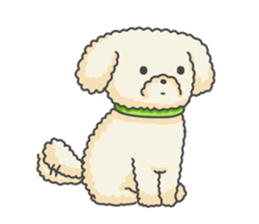 Moko of Toy Poodle sticker #9784336