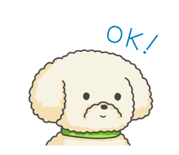 Moko of Toy Poodle sticker #9784338