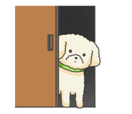 Moko of Toy Poodle sticker #9784343