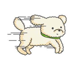 Moko of Toy Poodle sticker #9784344