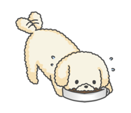 Moko of Toy Poodle sticker #9784346