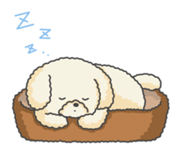 Moko of Toy Poodle sticker #9784347